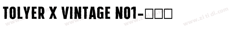 Tolyer X Vintage No1字体转换